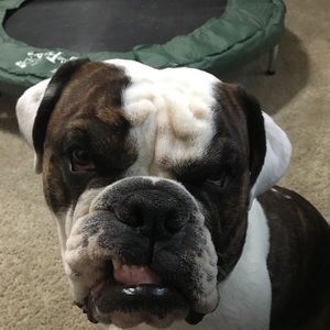 Meet your Posher, Brian